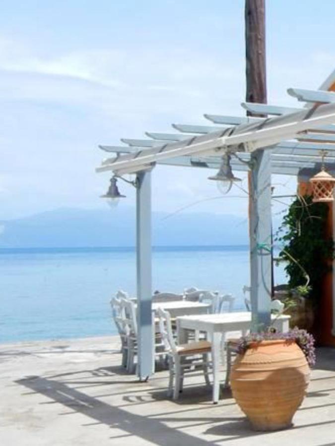 Tolos Budget Rooms Loggos Longos  ภายนอก รูปภาพ